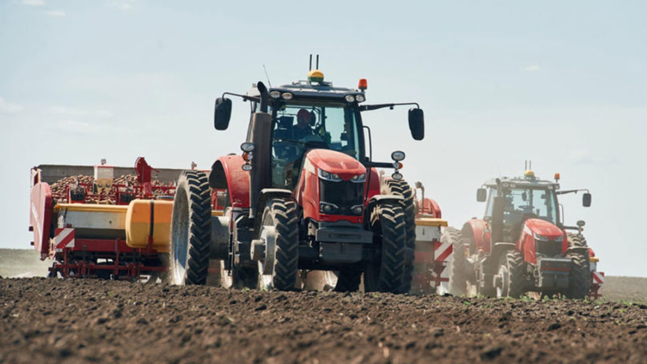 Cel puțin trei camere agricole vor fi create în 2026, anunță ministra Agriculturii și Industriei Alimentare