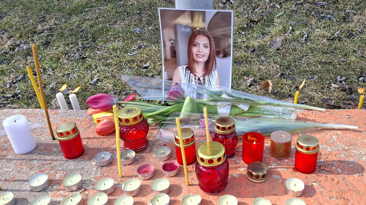 В парламенте проведут закрытые слушания по делу о гибели Людмилы Вартик