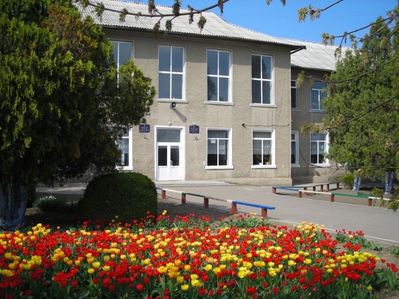 Școlile românești din sudul Basarabiei, în pericol de dispariție: apel către Zelenski, Nicușor Dan și Maia Sandu