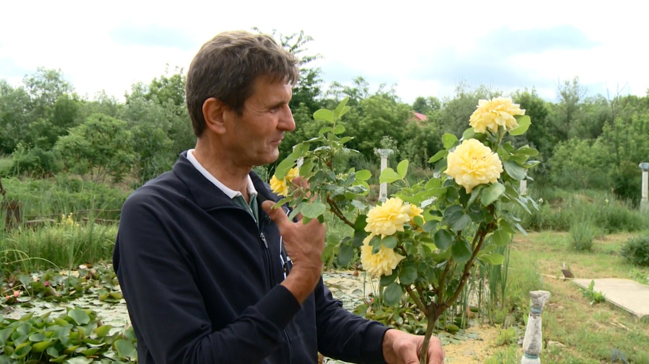 „Casa Florilor” de la Brănești: Muzeul rarităților florale creat de Iurie Răileanu