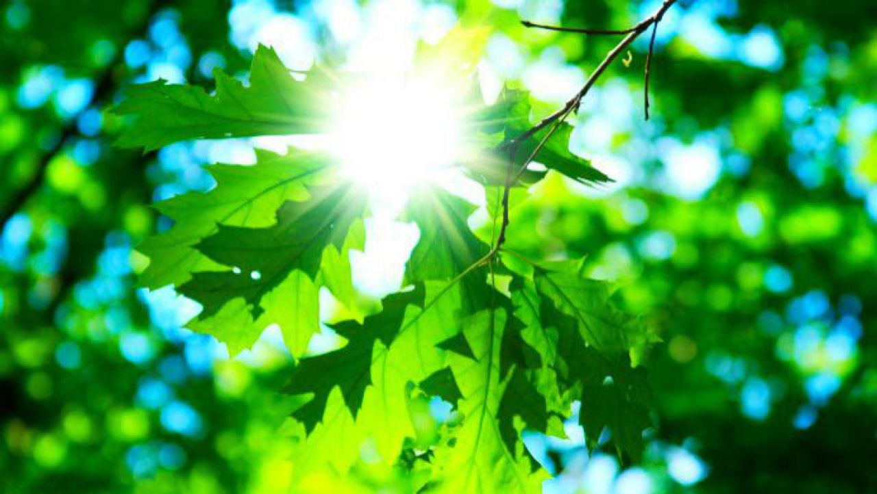 Temperaturi până la 29 de grade și ploi. Vezi cum va fi vremea în următoarele zile 