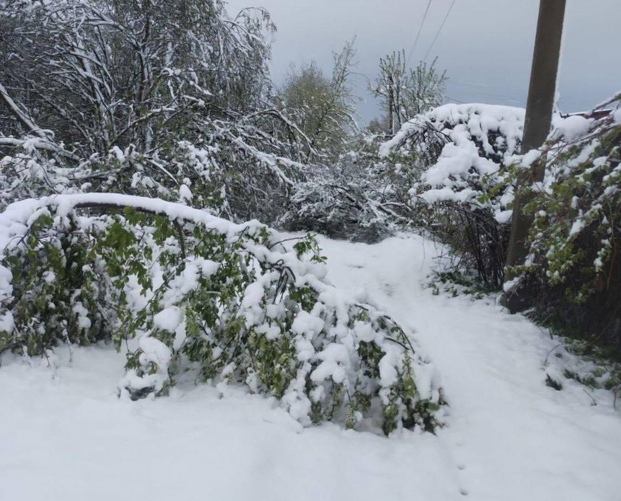 Москву завалило снегом: выпало рекордное количество осадков