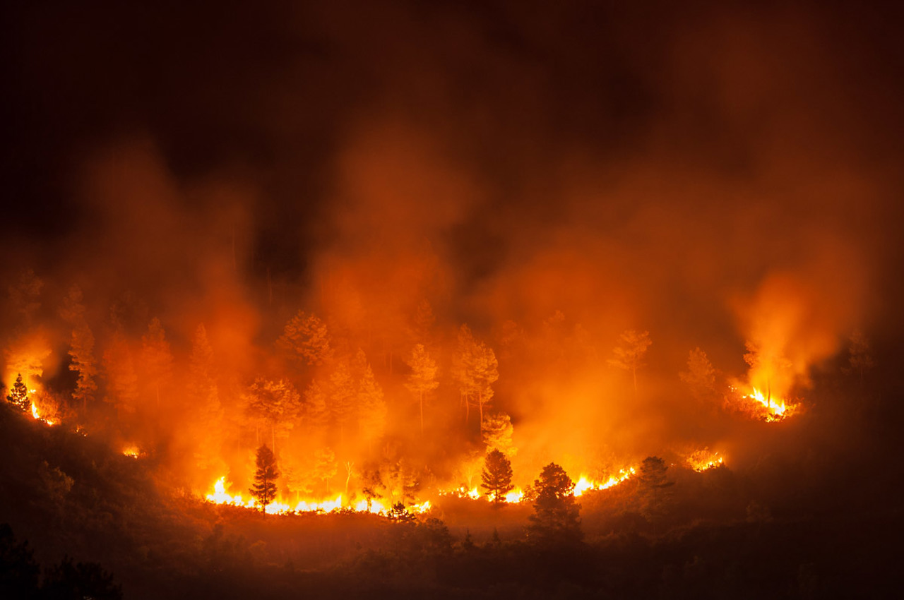 Europa, lovită de caniculă şi incendii de vegetaţie