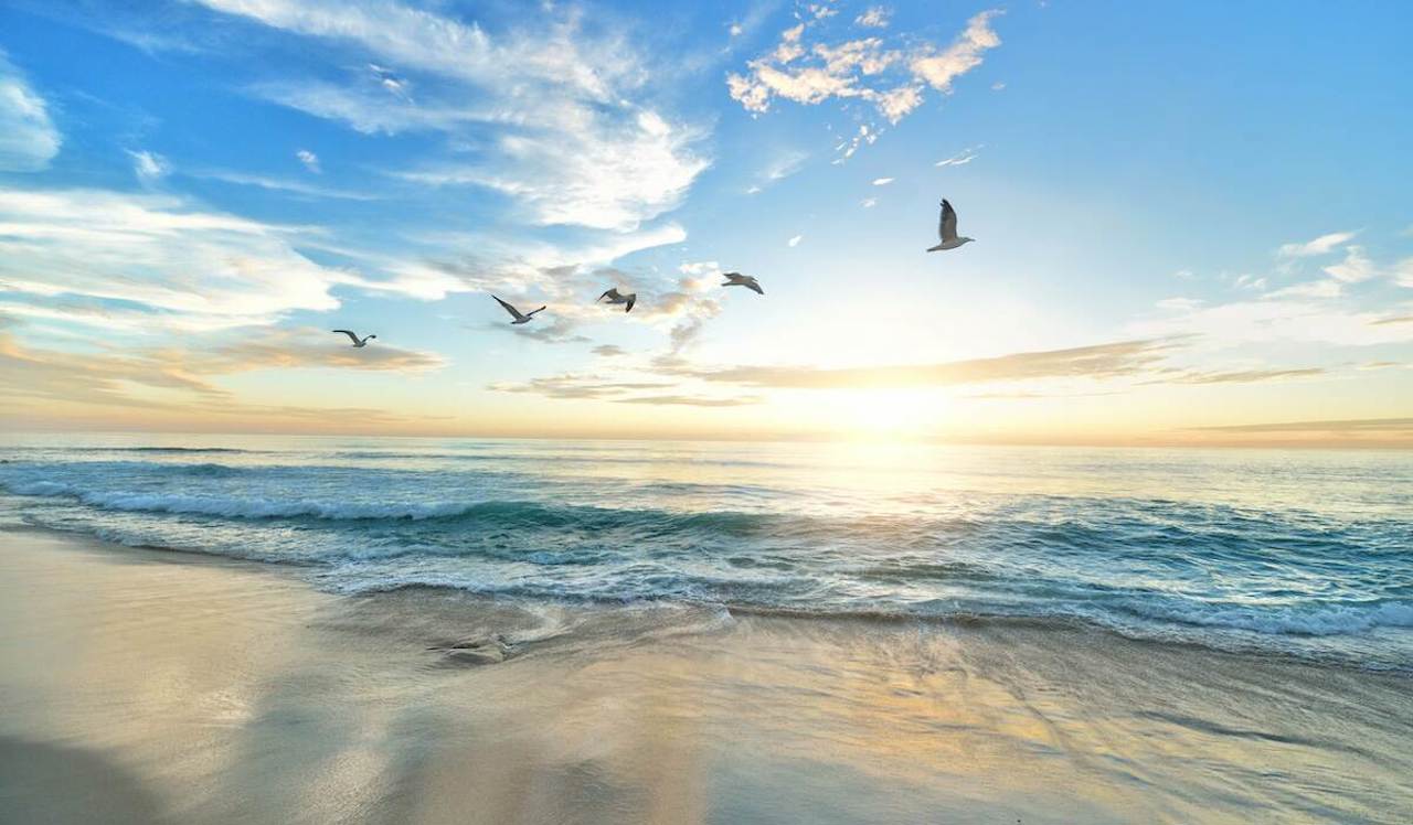 Copernicus: Lumea a traversat în 2026 al cincilea cel mai cald februarie din istoria măsurătorilor meteorologice