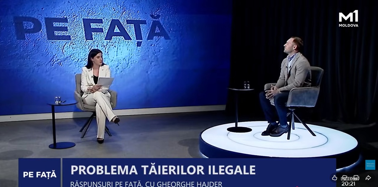 Cel puțin cinci persoane vor fi demise după tăierile ilegale de la Ocolul Silvic Ghidighici. Hajder: „Nu mai putem tolera incompetența”