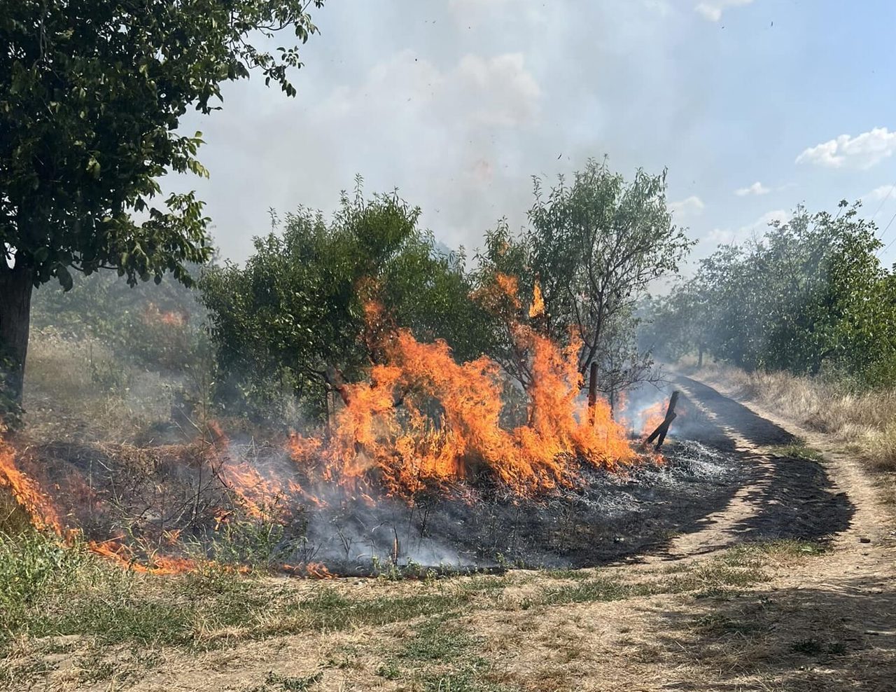 Drought, carelessness cause wildfires in Moldova