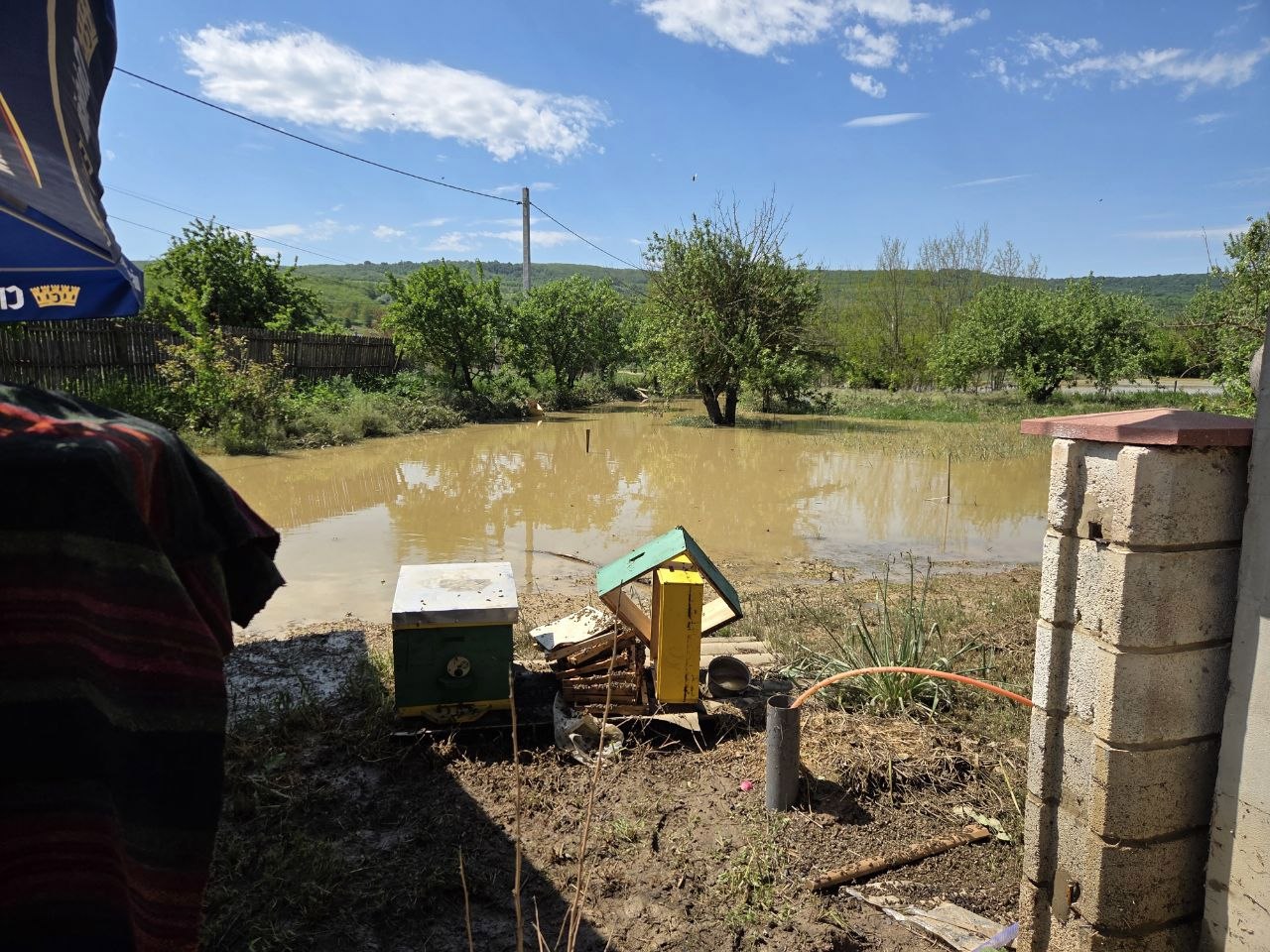FOTO | O familie din raionul Călărași a rămas fără 25 de stupi de albine, după inundațiile din 22 mai