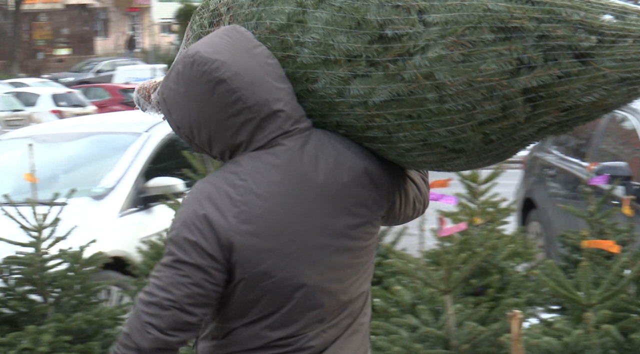 Vânzări de final de an: brazi mai ieftini pentru cei care au așteptat până pe 31 decembrie