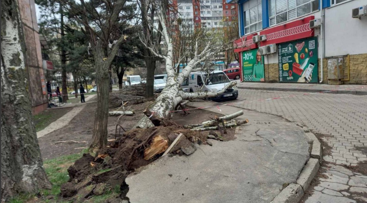 По меньшей мере два человека в столице пострадали и вызвали скорую помощь из-за сильного ветра