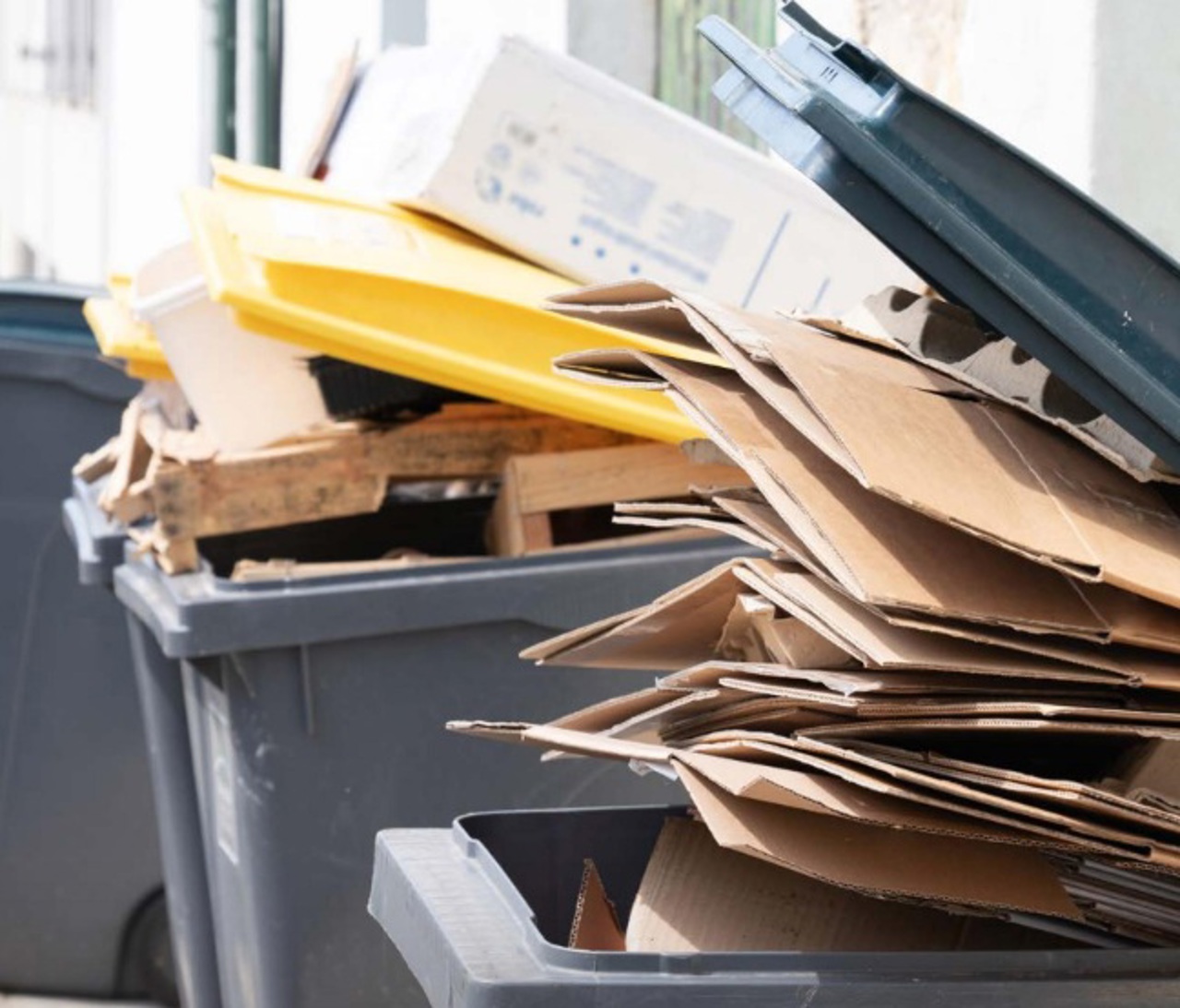 Moldova explores ways to turn waste into business resources 