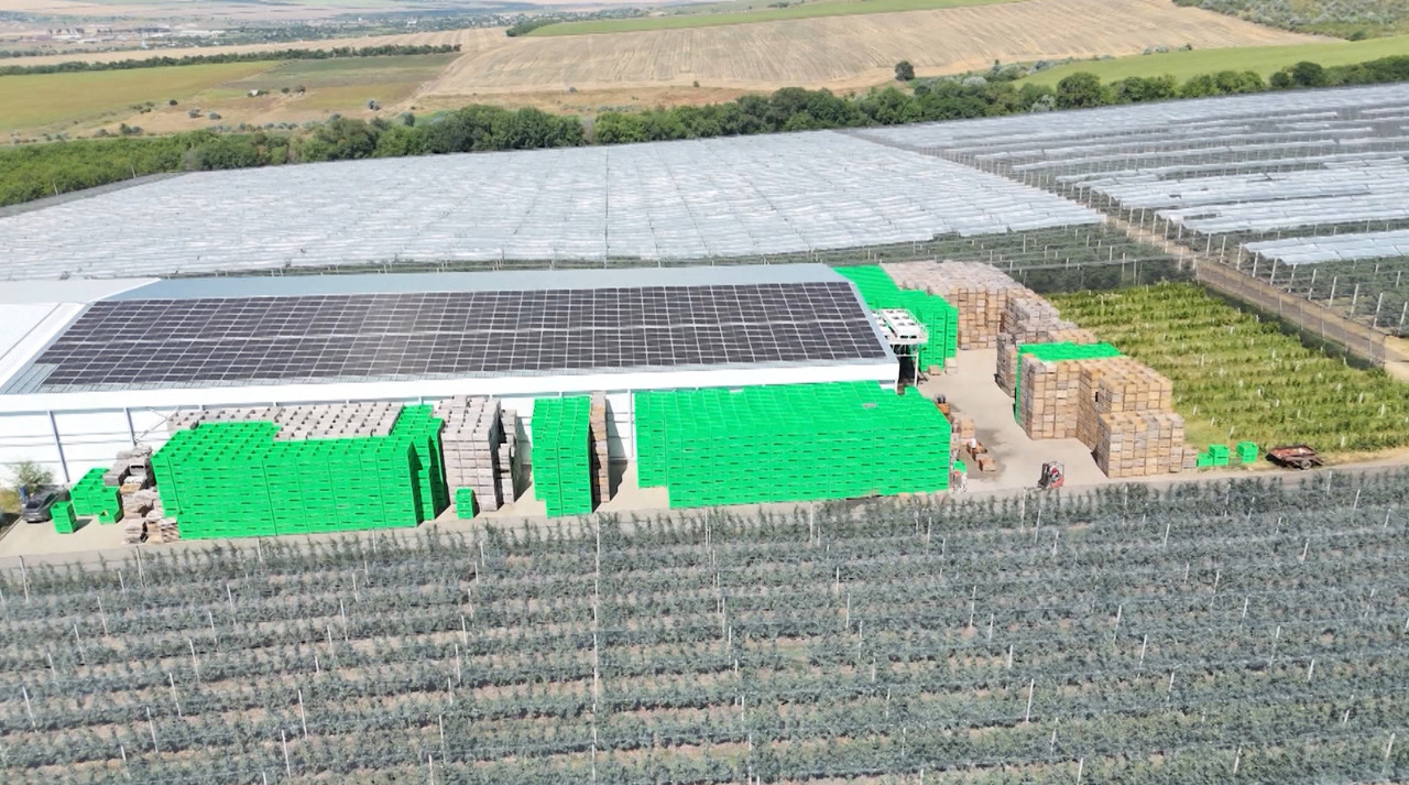 Moldova apple exports to UK surge fivefold after tariff cuts