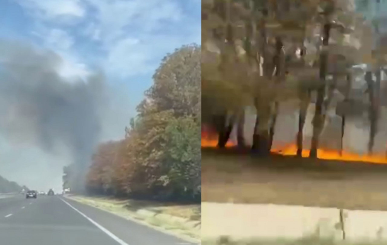 Incendiu de vegetație la intrarea în orașul Stăuceni. Pompierii au intervenit pentru a stinge flăcările