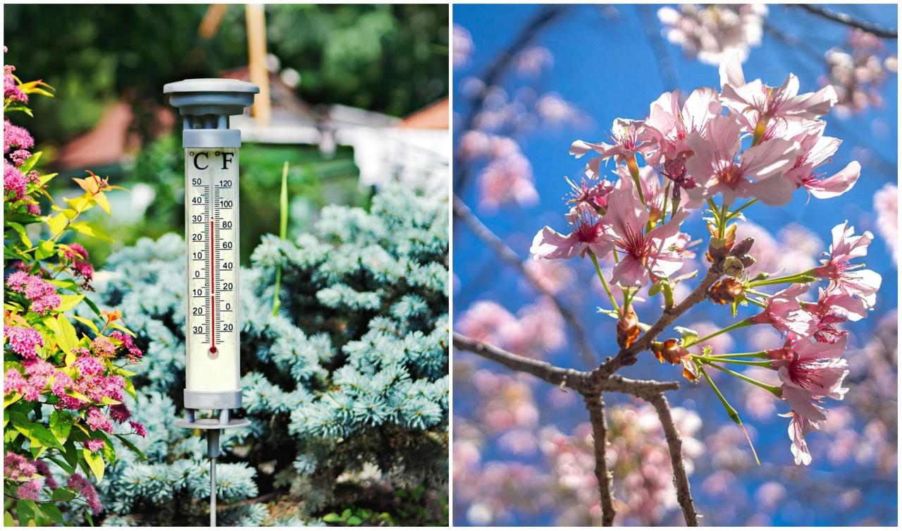 METEO // Aprilie, luna extremelor în R. Moldova: De la înghețuri târzii la temperaturi de peste 30°C
