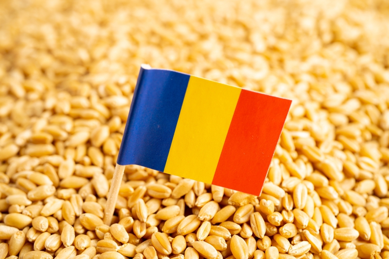 România domină exporturile de cereale ale UE: peste 6.4 milioane de tone livrate în anul comercial 2025-2026