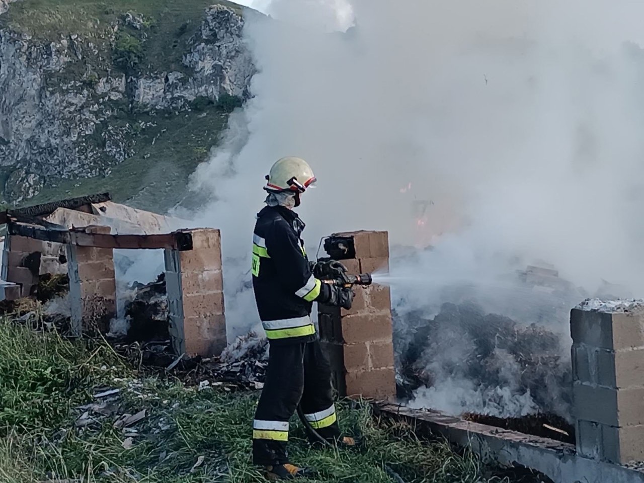 Incendiu în raionul Briceni. Mai multe animale domestice au fost salvate de pompieri