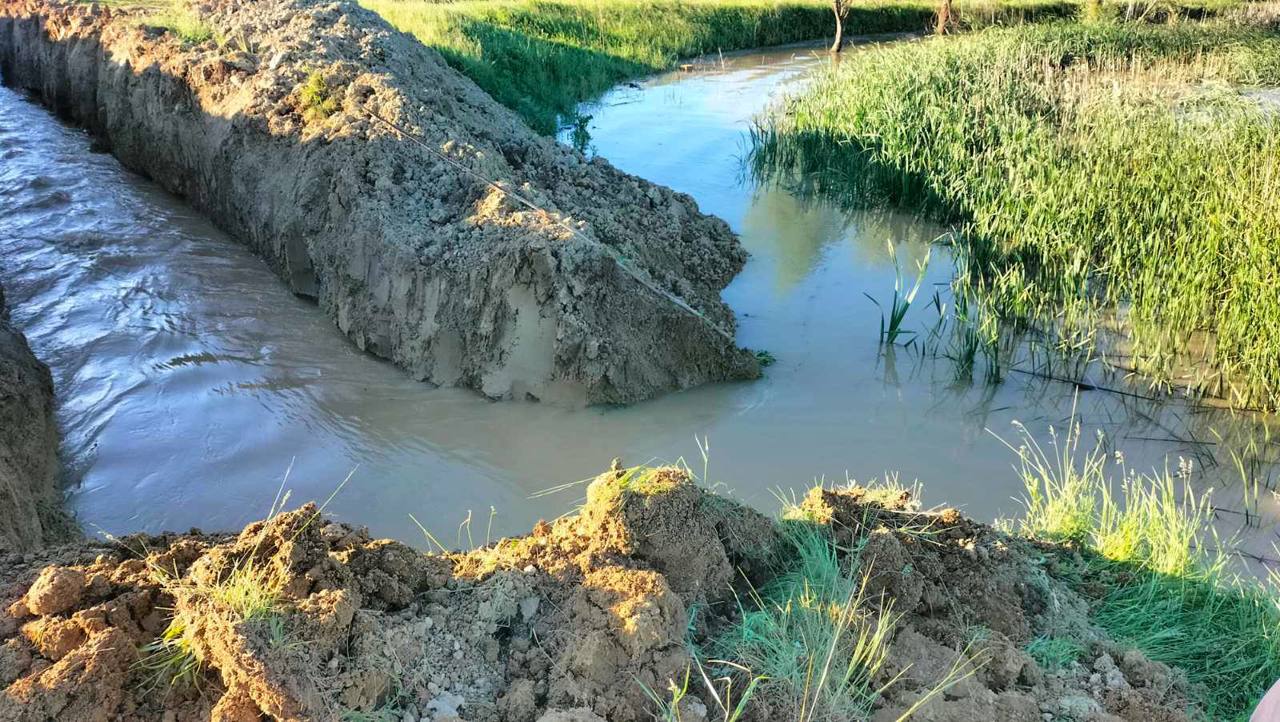 Ecologist: „Supraexploatarea solului ne lasă neputincioși în fața inundațiilor și a secetei”