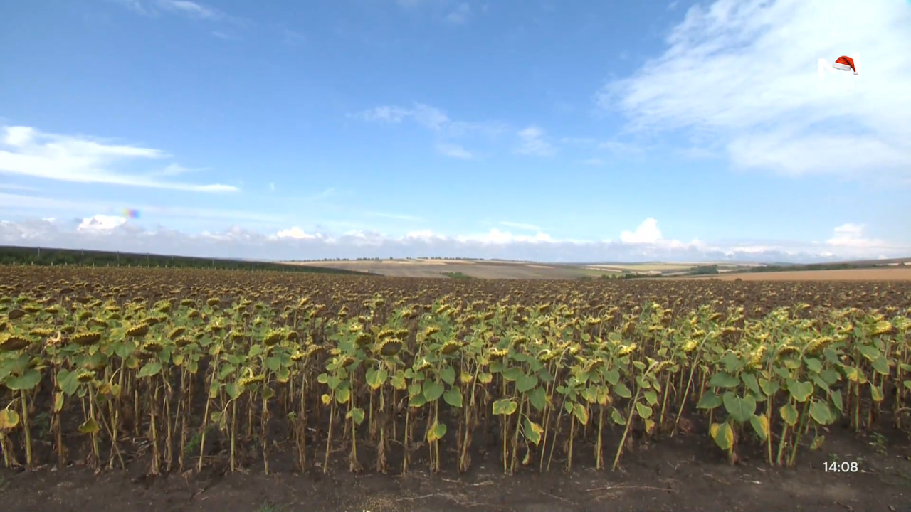 „Pământ și Oameni” din 11 ianuarie 2026