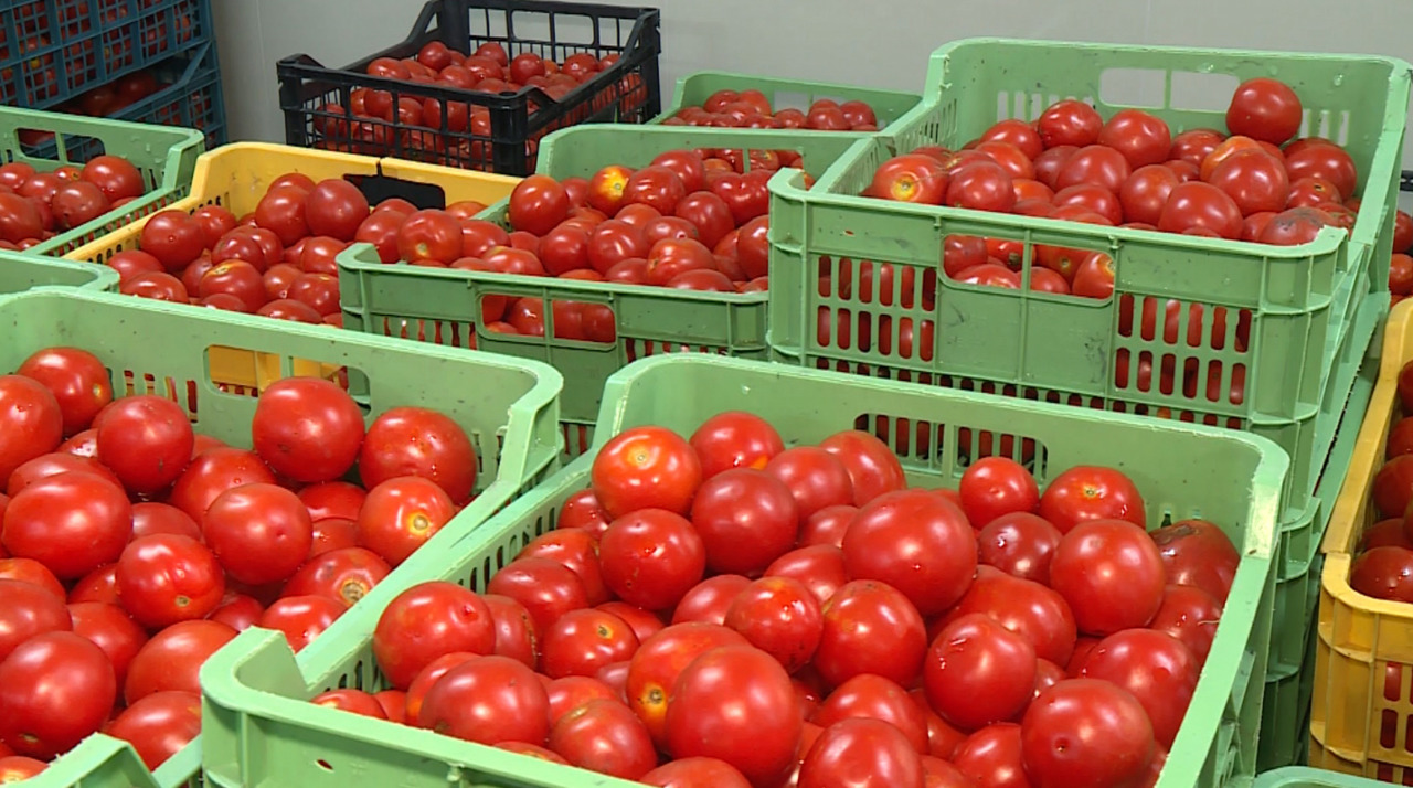 De la cinci hectare de roșii la propria fabrică de suc: Investiția unui agricultor din Ratuș
