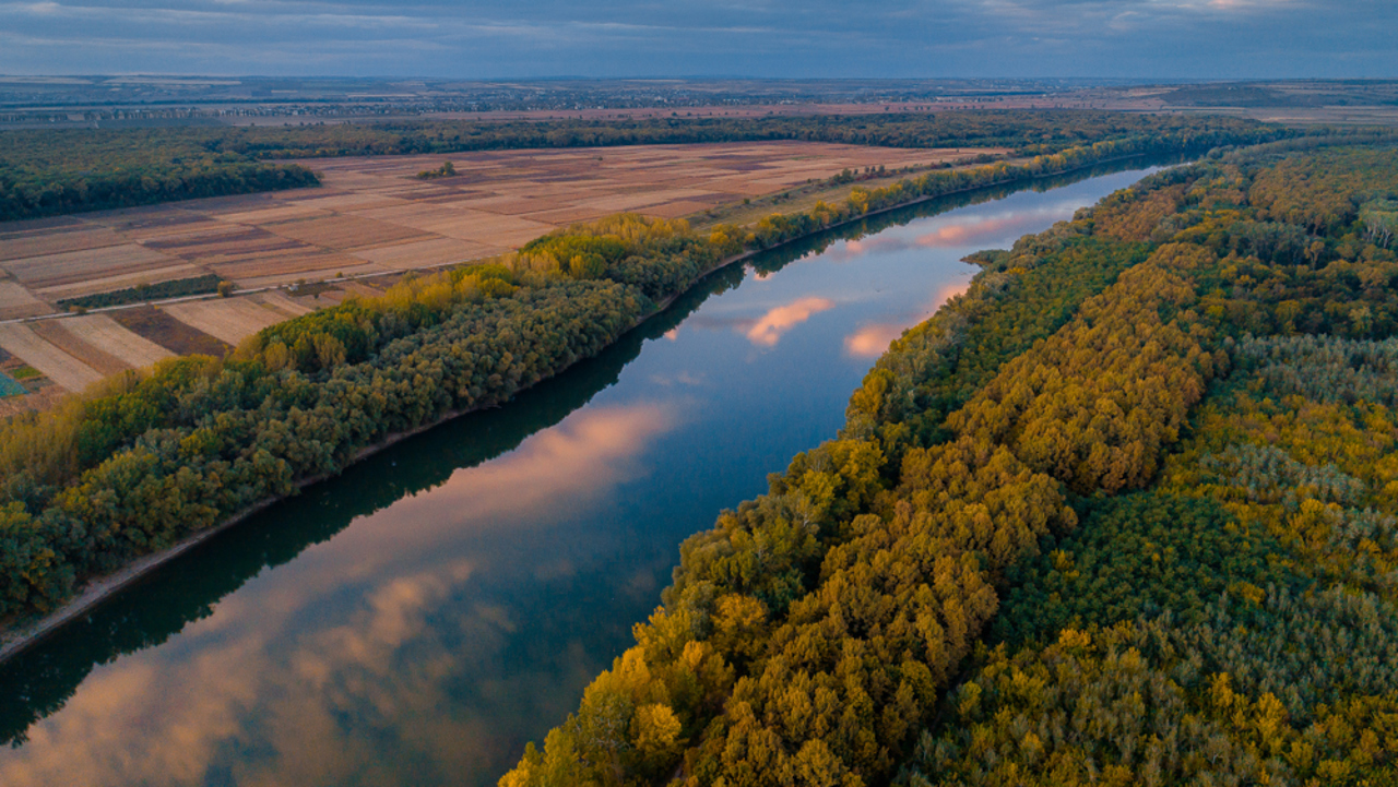 1.800 de hectare de teren vor fi reîmpădurite: autoritățile lansează un proiect pentru reducerea poluării apelor