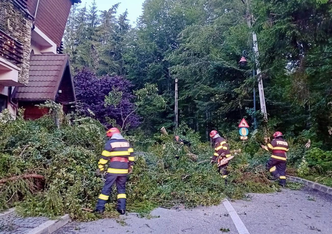 Furtună devastatoare în România: o femeie din Otopeni a murit, copaci căzuți și zeci de mașini avariate la București