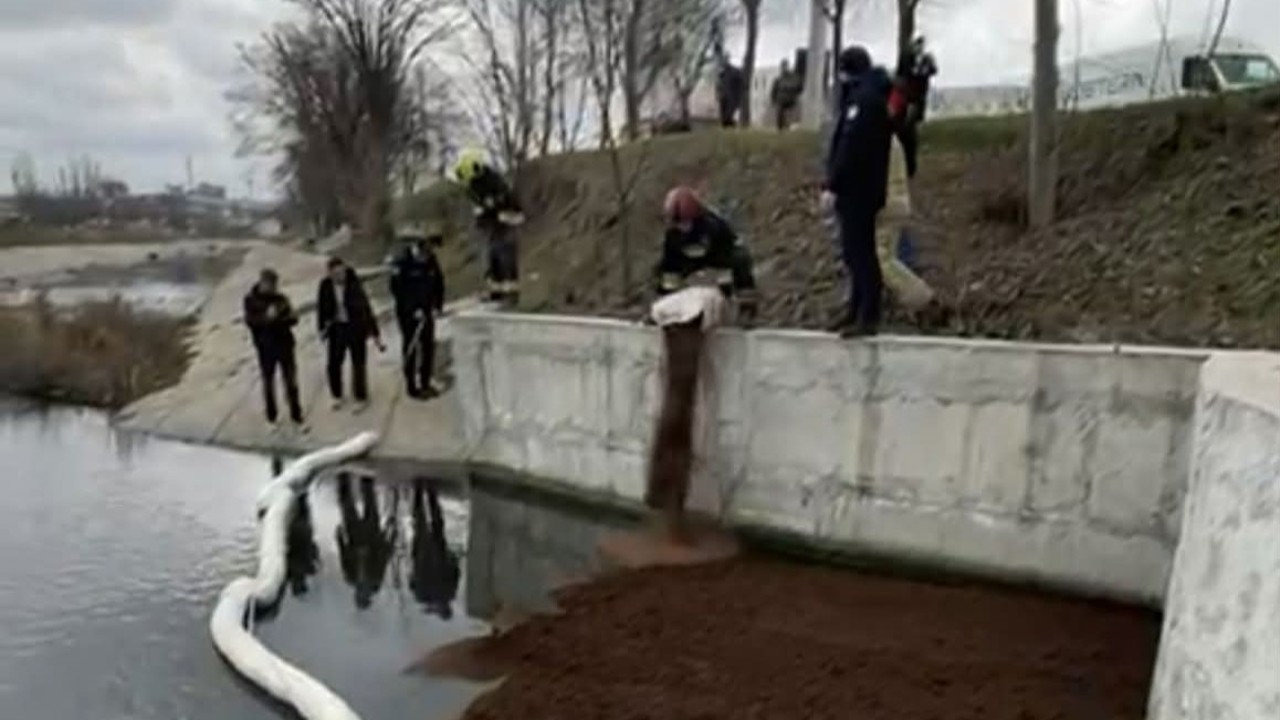 Poluare pe râul Bâc: Autoritățile intervin pentru limitarea impactului și caută sursa contaminării