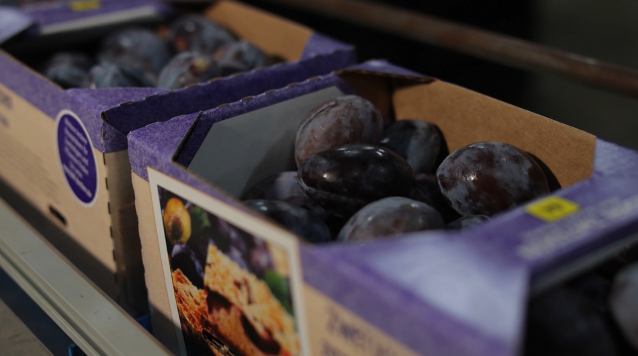 Exporturile de prune moldovenești spre UE se vor majora de patru ori