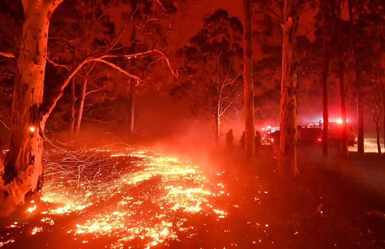 Temperaturi de peste 40 de grade în Australia: Persistă riscul incendiilor de vegetație