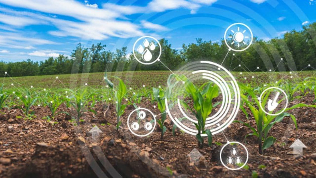 Năsui, despre potențialul economiei R. Moldova: Agricultura, IT-ul și turismul, printre domeniile de creștere