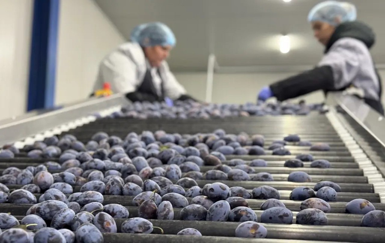 Moldova's farm infrastructure key to EU membership bid 