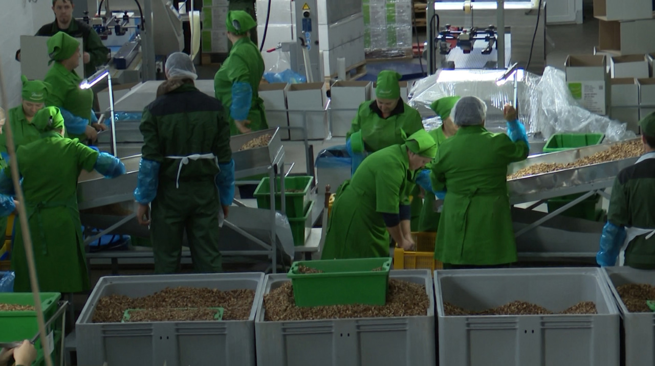 Investments in sustainability: the example of a modern factory in Ialoveni