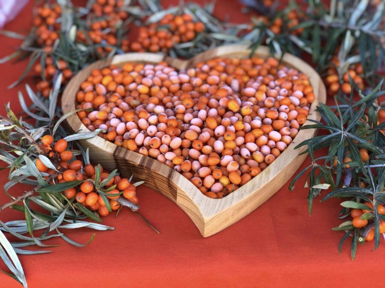 Colinde caritabile: La ultima ediție a Târgului Ecolocal sunt organizate evenimente de binefacere  