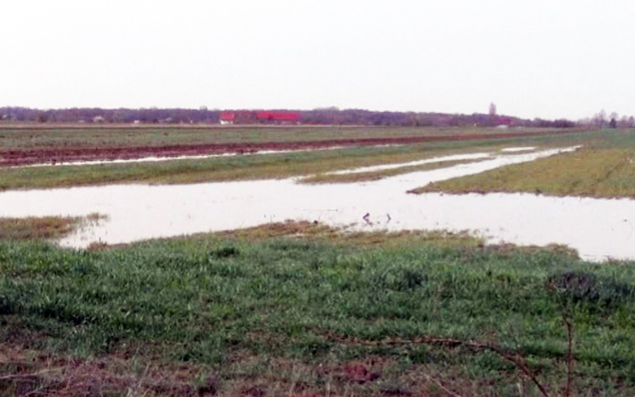 Autoritățile îndeamnă agricultorii să-și asigure terenurile împotriva intemperiilor