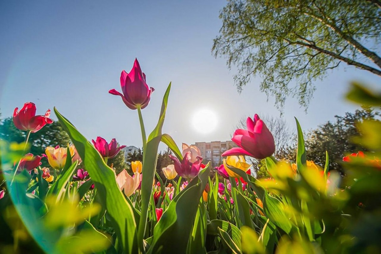 Meteo: Termometrele vor indica maxime de până la 30 de grade Celsius