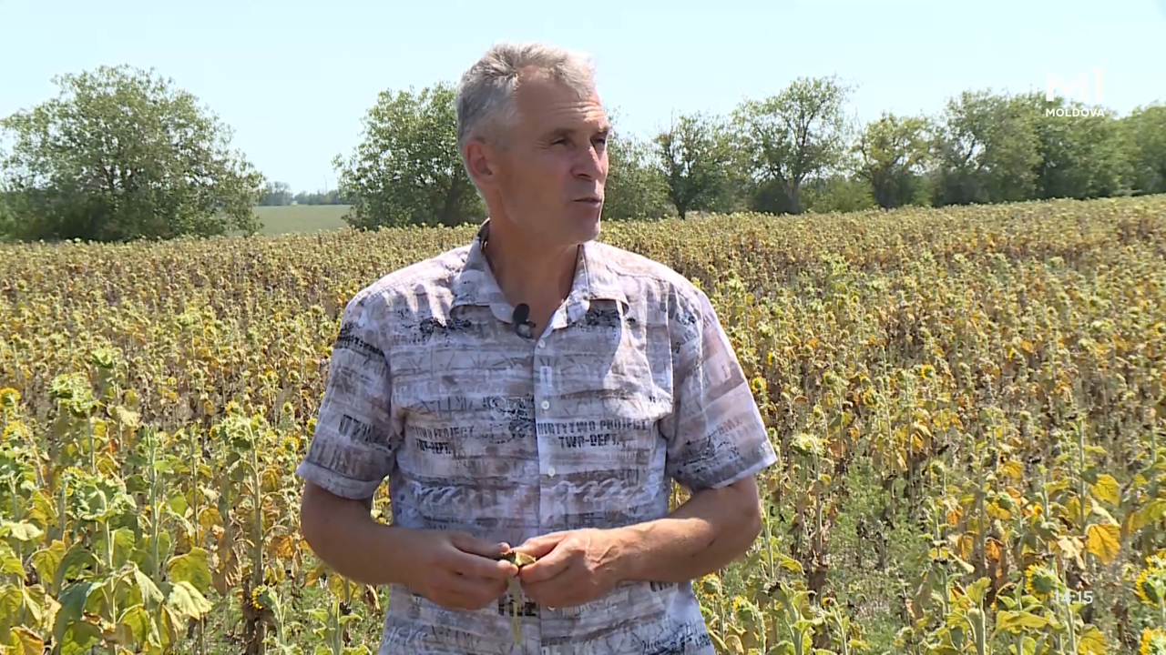 „Pământ și Oameni” din 3 august 2025	