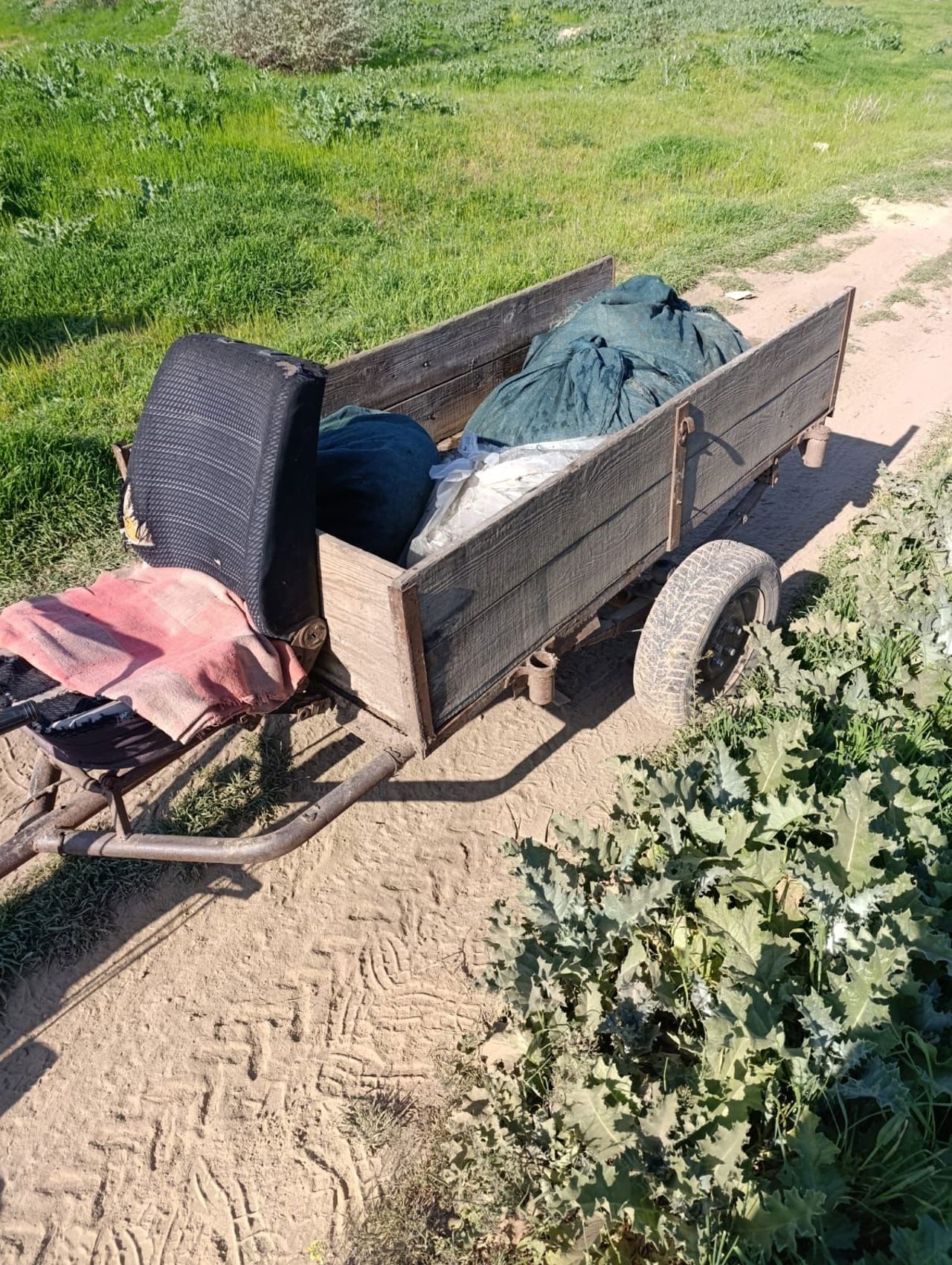 Poliția de Frontieră