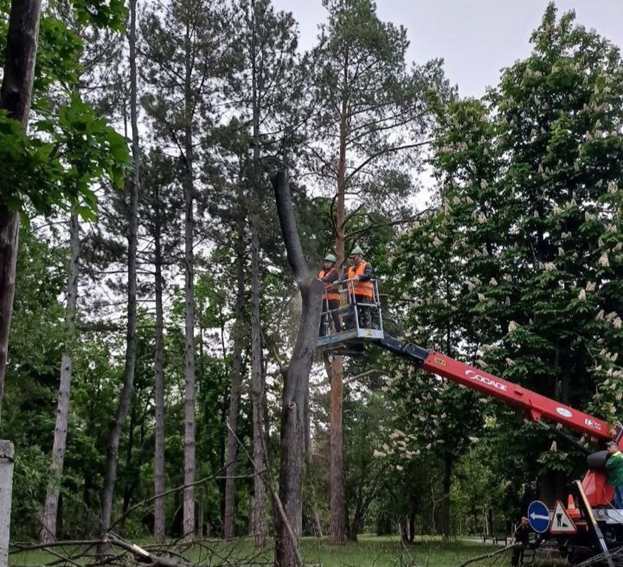 Atenție, șoferi! Trafic rutier suspendat parțial pe strada Eugen Coca din Chișinău