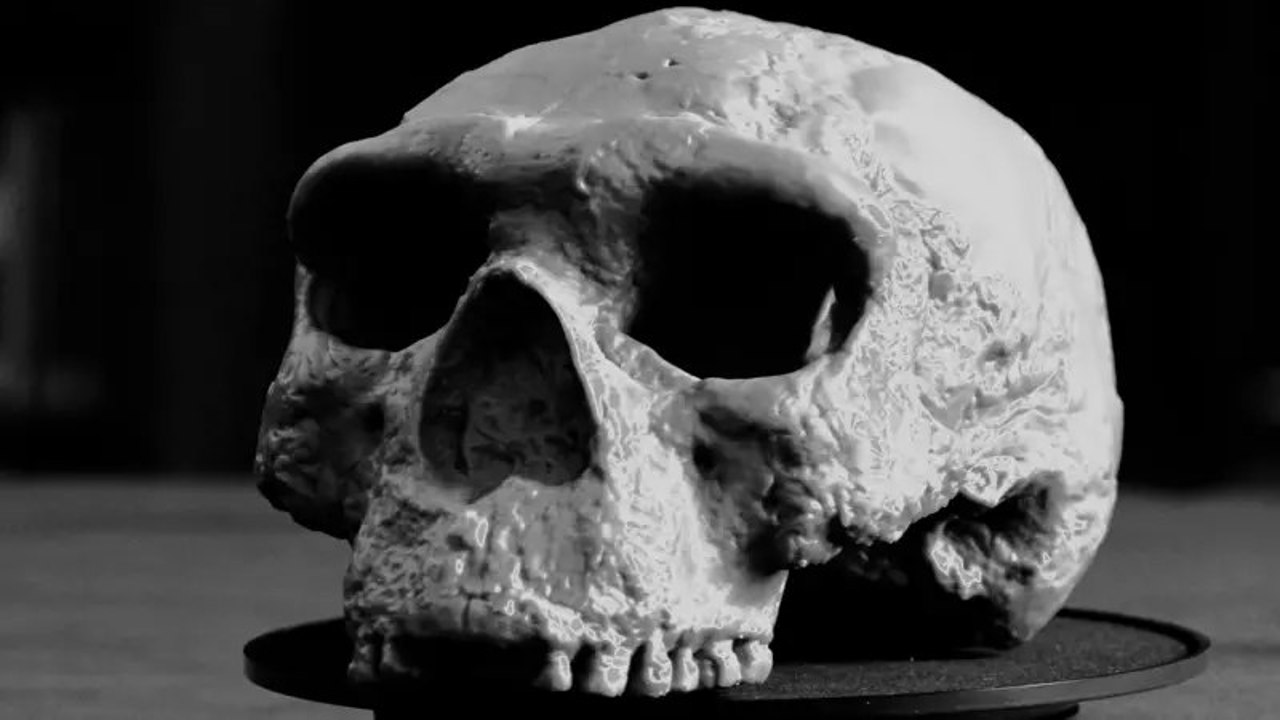 Craniu vechi de un milion de ani: oamenii de știință afirmă că descoperirea va rescrie istoria evoluției umane