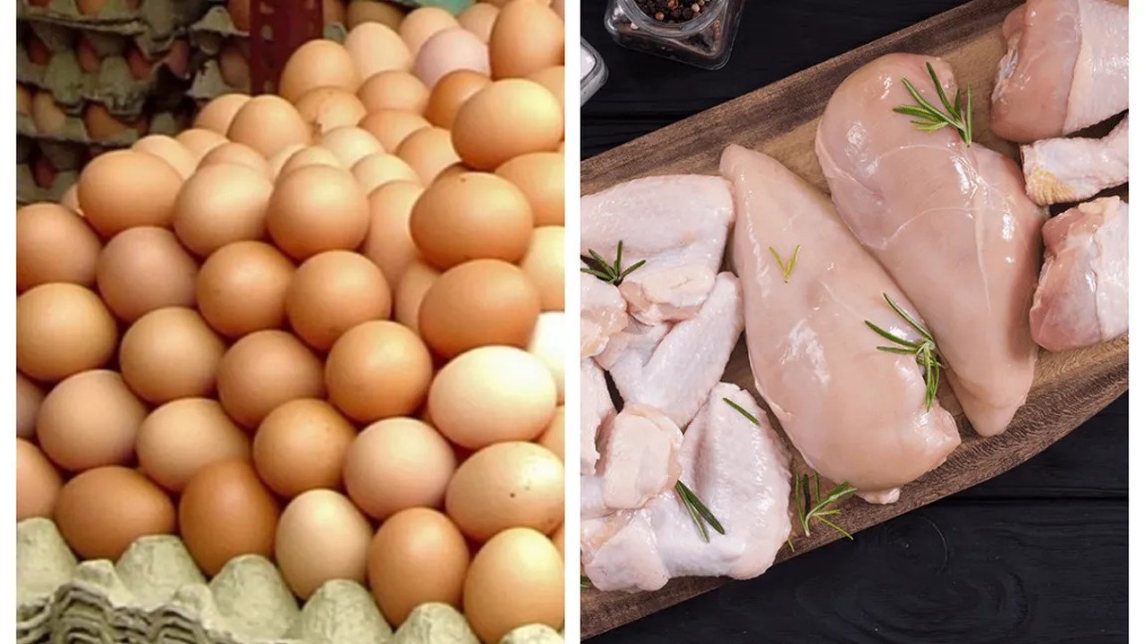 Antibioticul depistat în ouăle și carnea de pasăre retrase de pe piață are potențialul cancerigen: Metronidazolul, interzis în UE