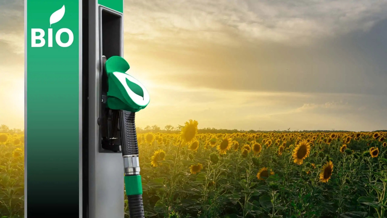 Guvernul ajustează regulile pentru biocarburanți. Noi oportunități pentru agenții economici