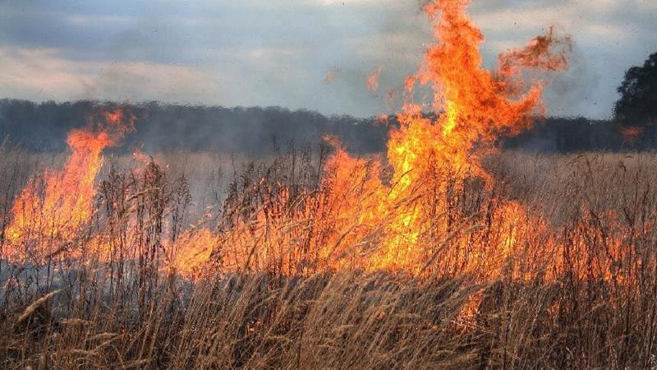 Un bărbat a suferit arsuri grave încercând să stingă un incendiu de vegetație
