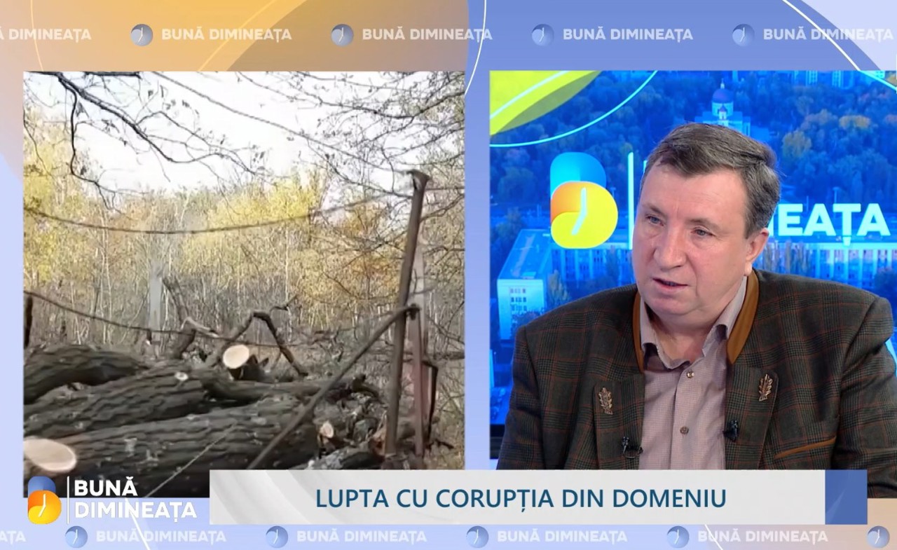 „Tot ce este la nivel de ocol silvic și pază silvică va rămâne intact”. Detalii despre reforma Agenției Moldsilva