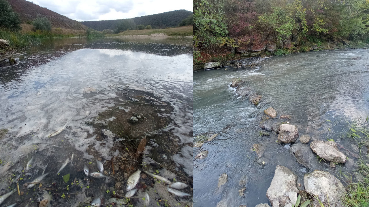 Опасное загрязнение Рэута. Что нашли в пробах воды, взятых в районе "Старого Оргеева"?