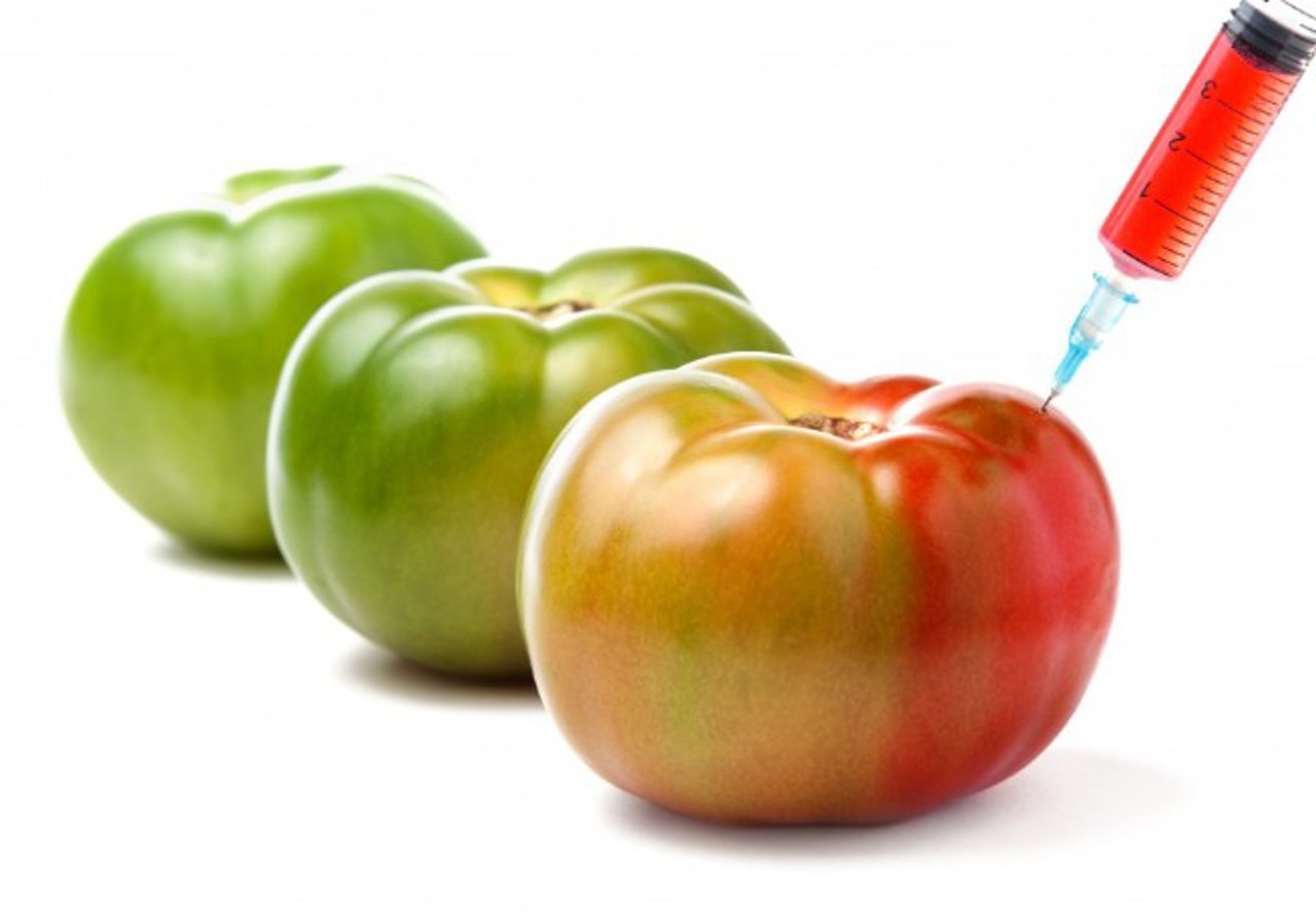 Organizațiile de mediu cer retragerea proiectului privind organismele modificate genetic: „Este în dezavantajul R. Moldova”