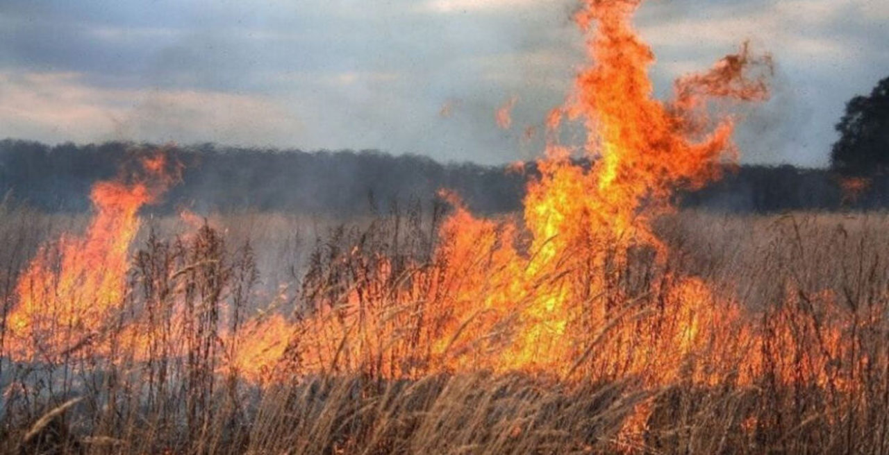 Pericol de incendii în R. Moldova. Avertizare valabilă până pe 22 iulie
