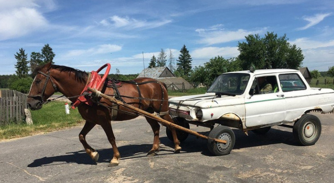 Criza carburanților din Rusia îi împinge pe oameni să cumpere cai și biciclete în locul mașinilor