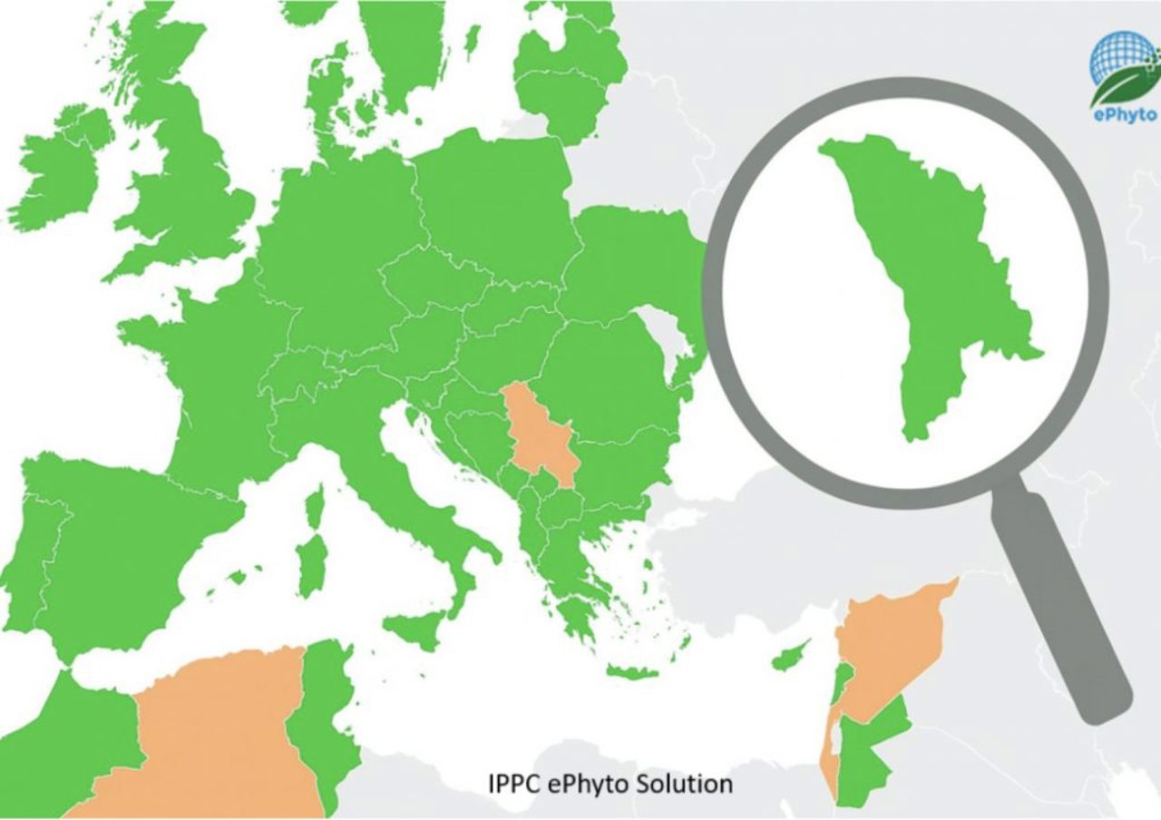 Republica Moldova, parte a rețelei globale ePhyto pentru certificate fitosanitare electronice