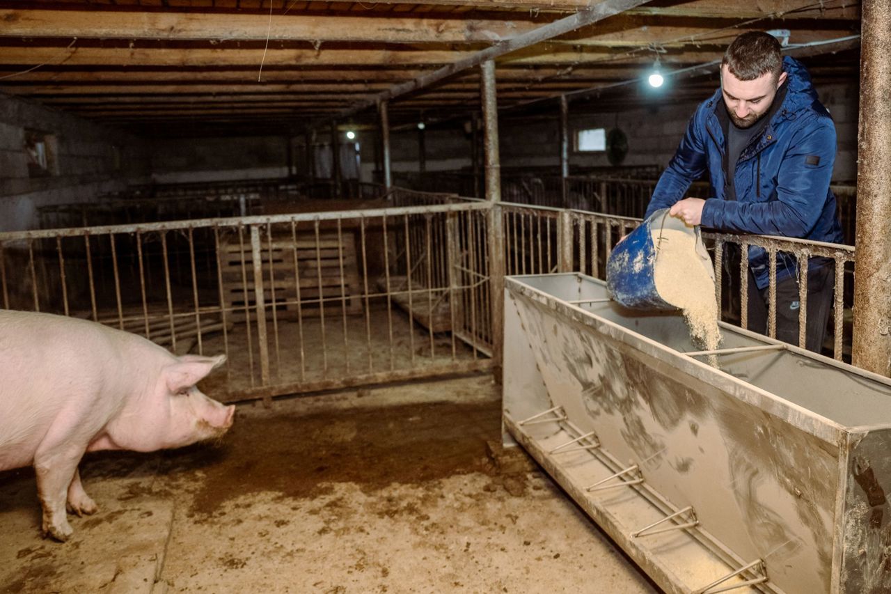 From studies in Italy to a high-performance farm in Vadul-Rașcov: a young man invests in organic farming and his village’s future