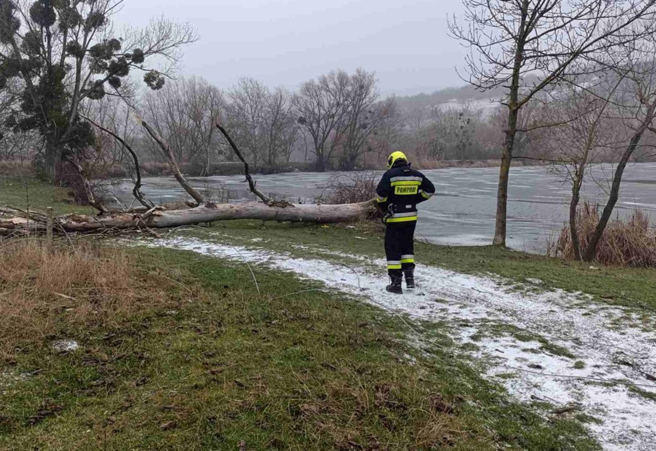 Moldovan rescue teams respond to over 80 emergencies amid severe wind gusts