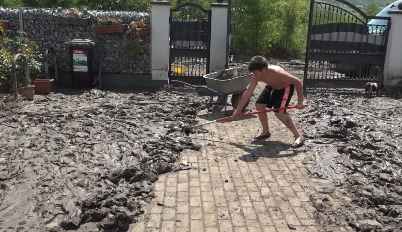 Ploaia de câteva minute a făcut prăpăd: Păsări înecate, beciuri și curți inundate