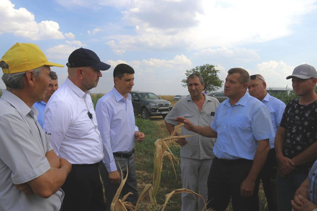 Moldovan Farmers in Crisis: Drought Sparks Emergency Calls